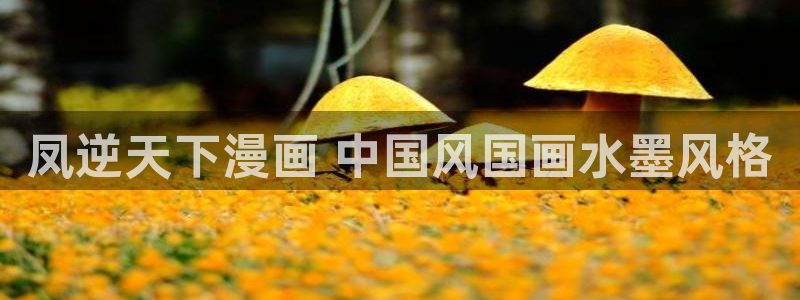 免费的韩漫在线观看：凤逆天下漫画 中国风国画水墨风格