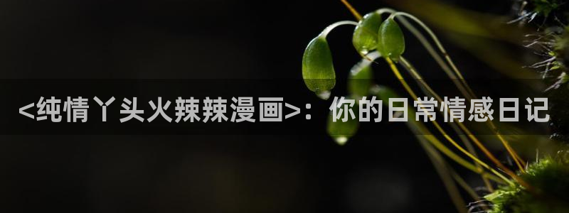 韩漫免费漫画下拉式：<纯情丫头火辣辣漫画>：你的日常情感日记