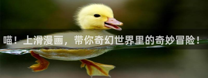 韩漫好看的漫画在线观看：喵！上滑漫画，带你奇幻世界里的奇妙冒险！
