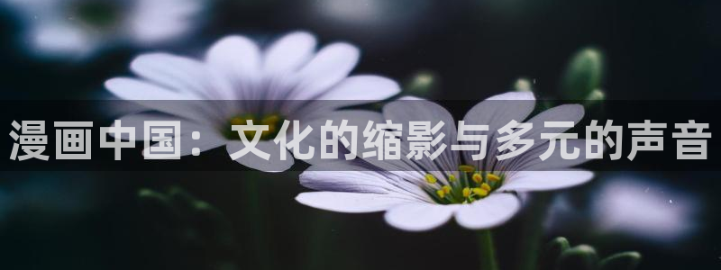 韩漫男女免费观看下拉式漫画：漫画中国：文化的缩影与多元的声音